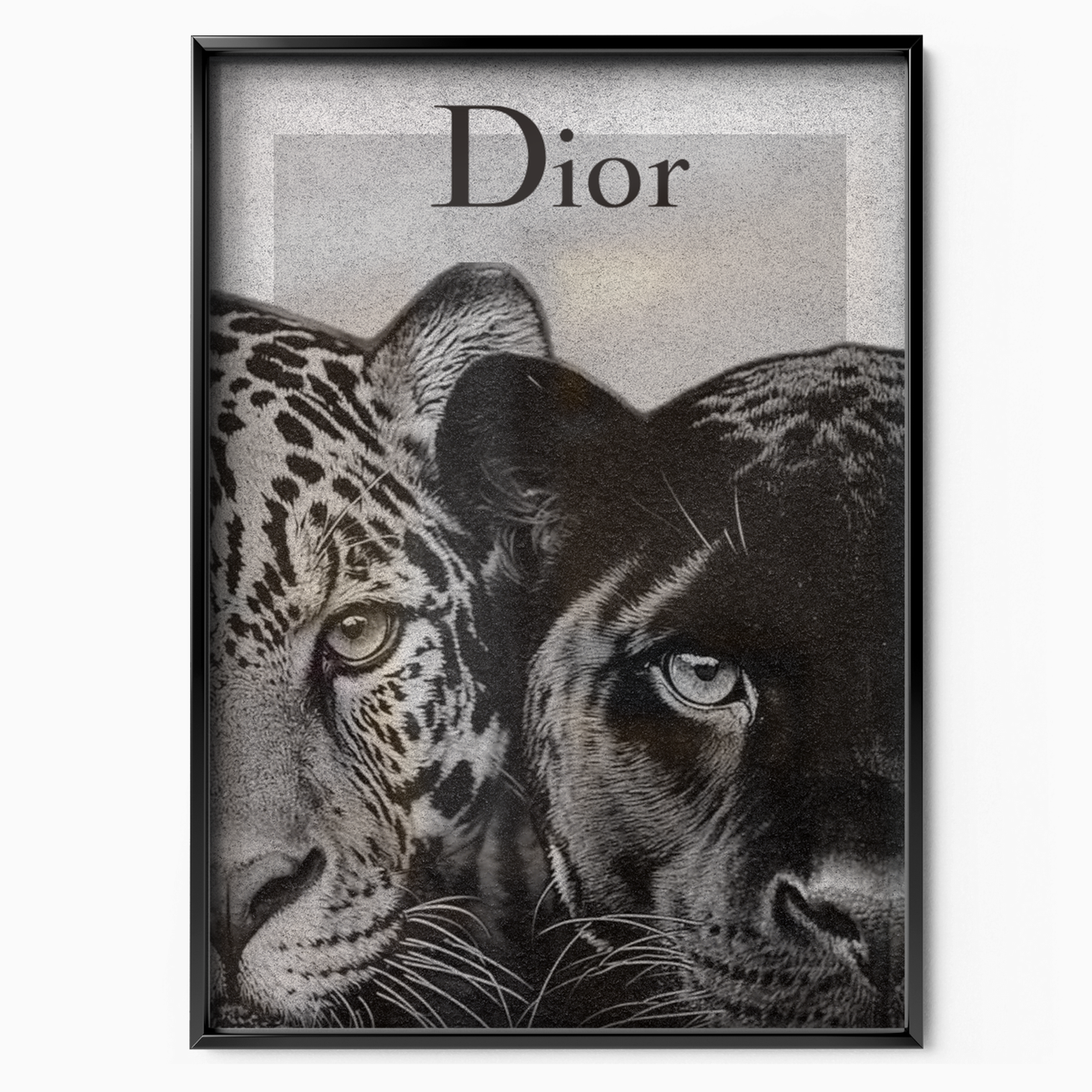 Dior Twin Predators