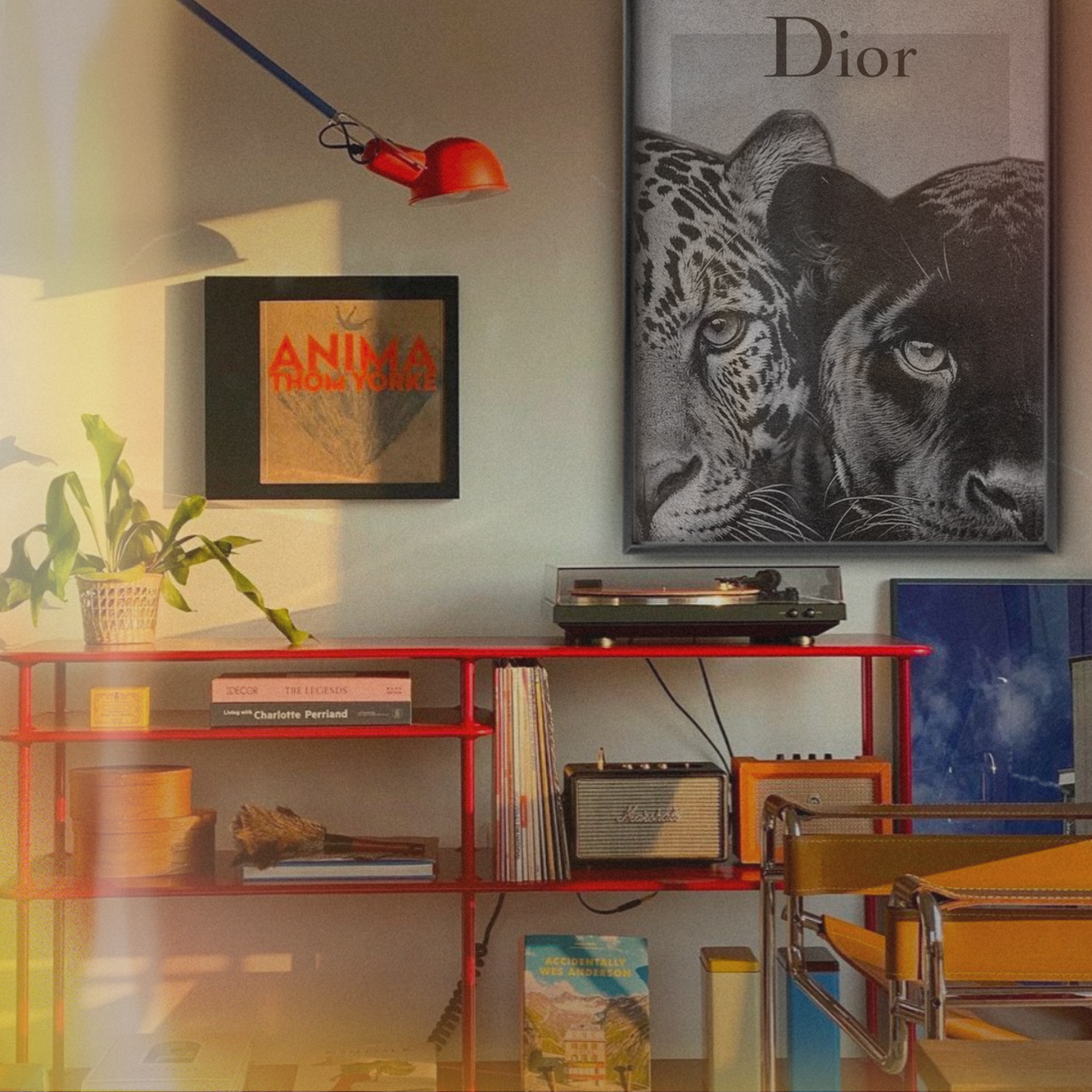 Dior Twin Predators