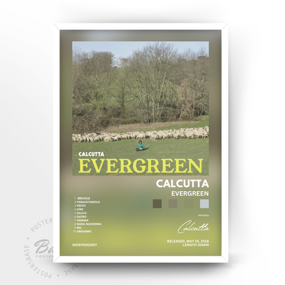 Calcutta 'Evergreen'